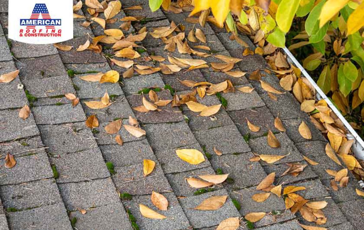 Fallen Leaves Harm Roof
