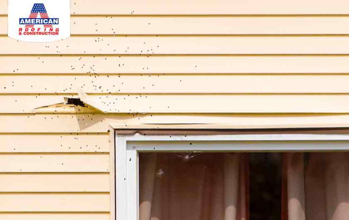 Replace your Siding
