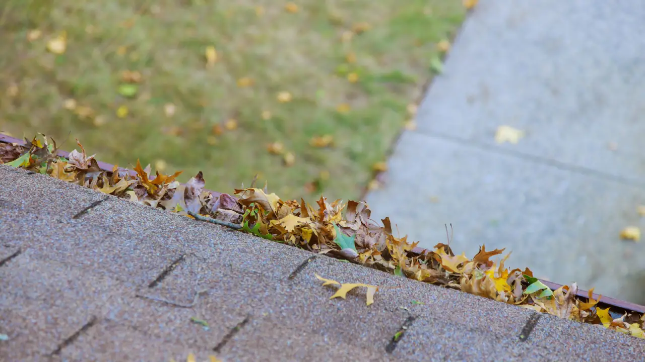 Alabama Fall Roof Maintenance: Clearing leaves from a roof