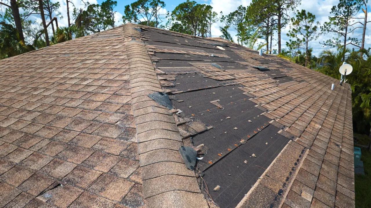 Top 4 Things That Can Damage Your Roof