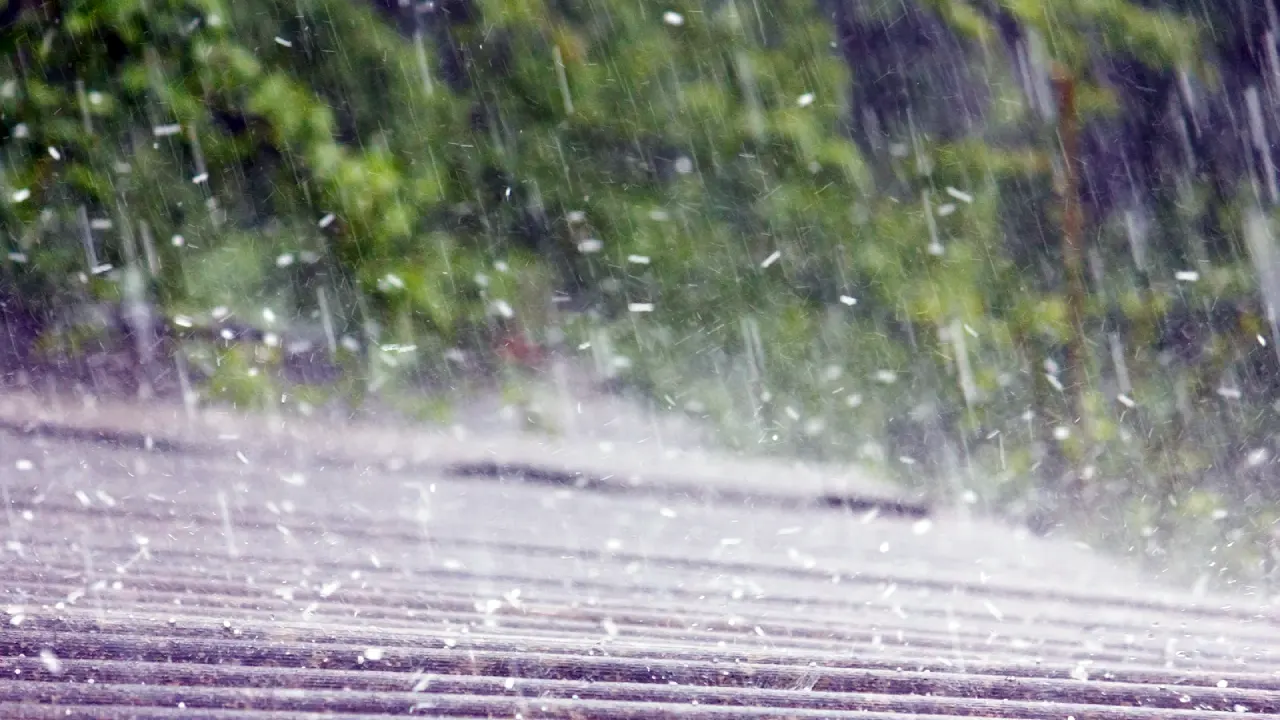 Hail Damage or Blistering: Know the Difference
