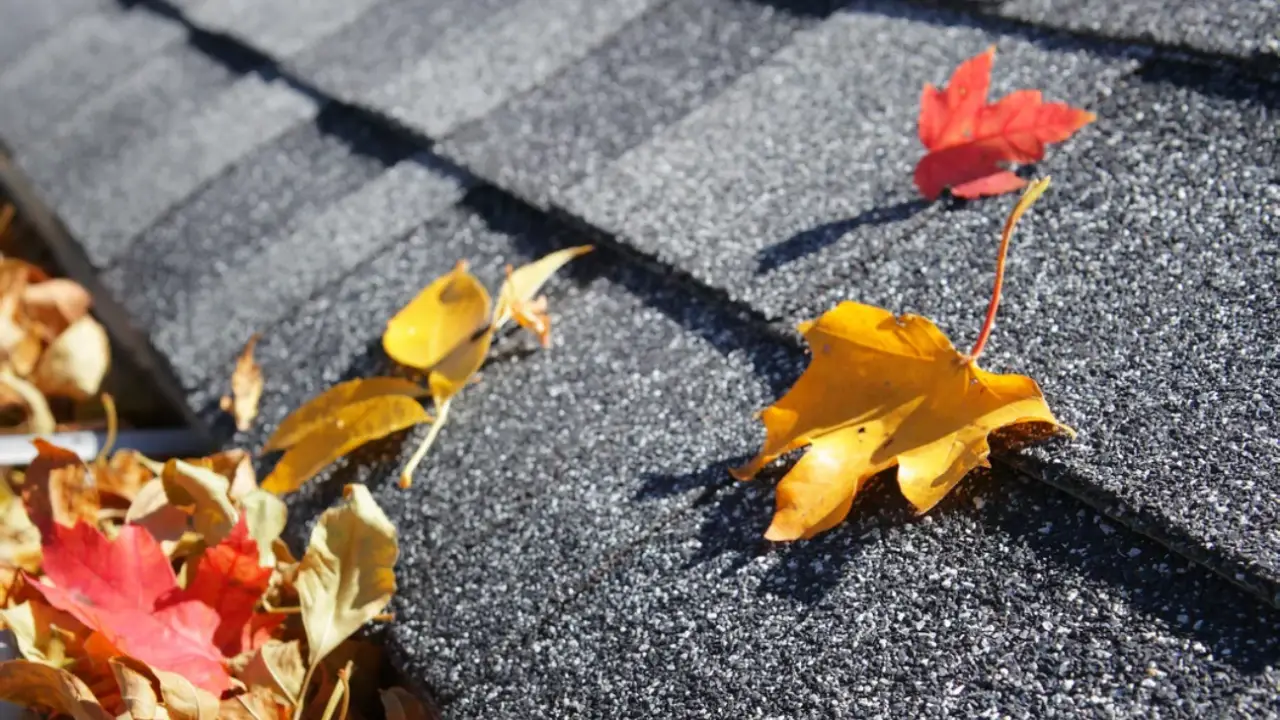 Cleaning roof from leaves with a Colorado mountain backdrop during fall roofing maintenance.