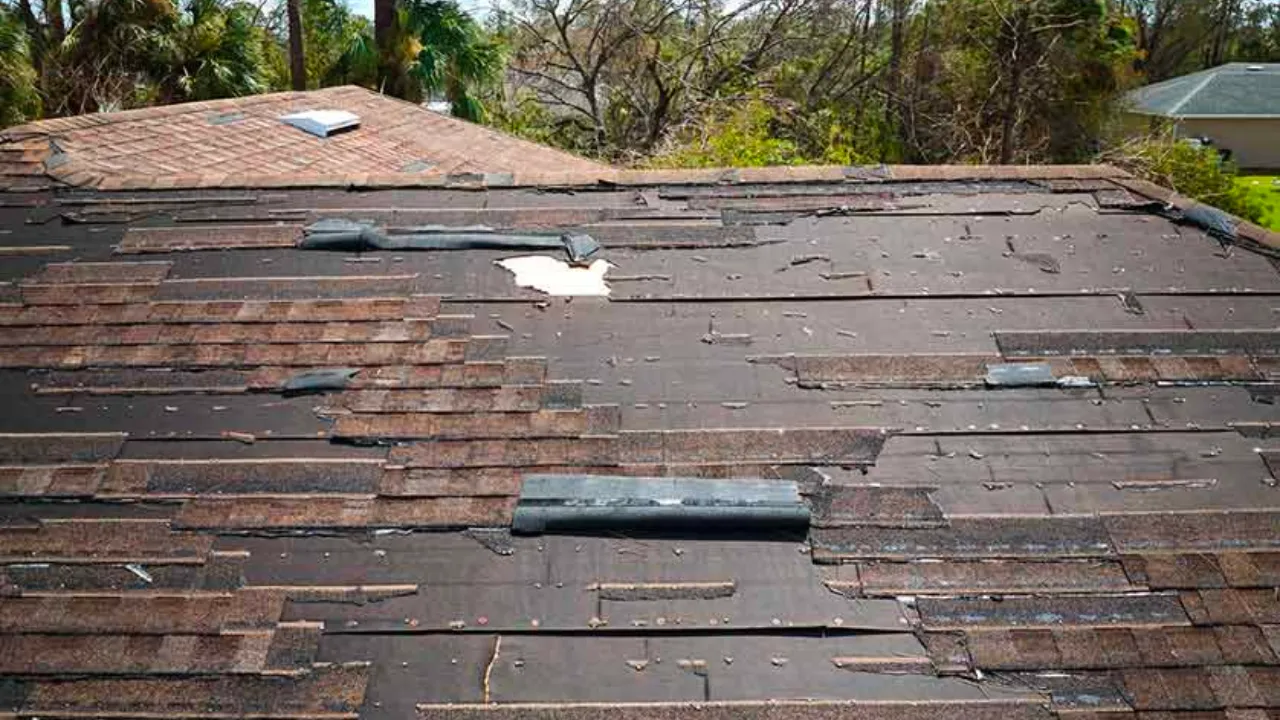 Dealing With Shingle Blow-Offs